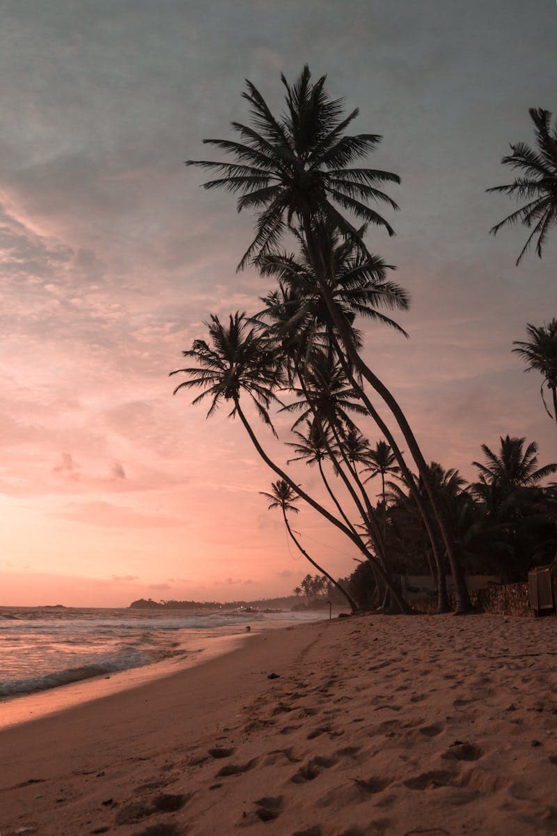 Tropical Beach Sunset